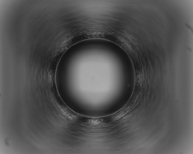 X0000095540662200712141526