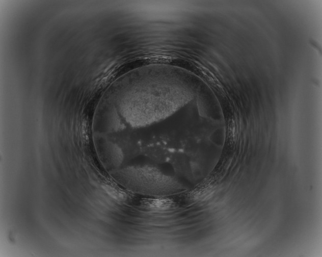 X0000095540663200712141526