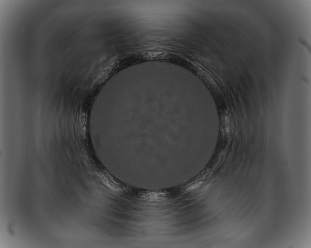 X0000095540664200712141526