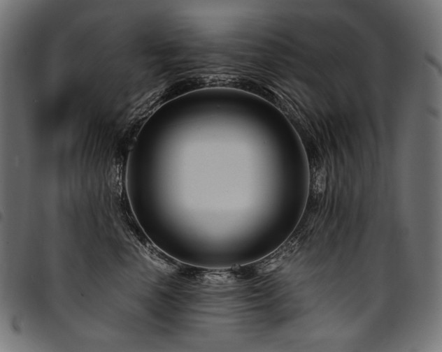 X0000095540666200712141526