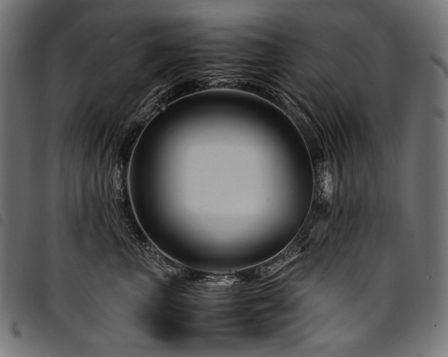 X0000095540667200712141526