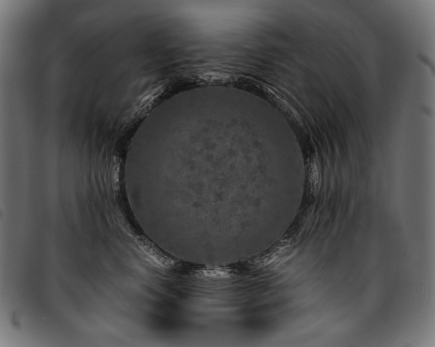 X0000095540668200712141526