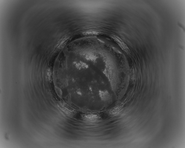 X0000095540669200712141526