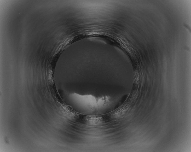 X0000095540670200712141526