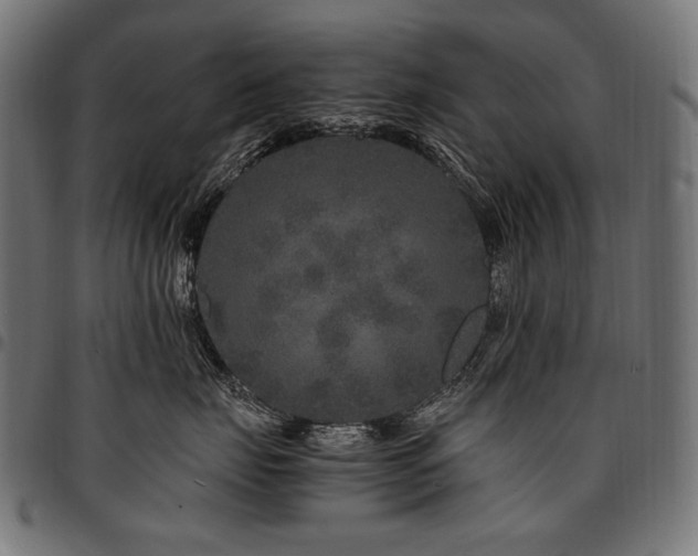 X0000095540671200712141526