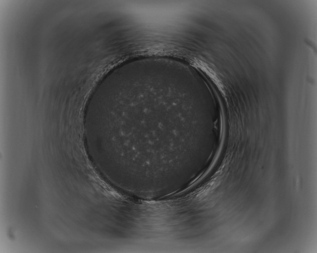 X0000095540673200712141525