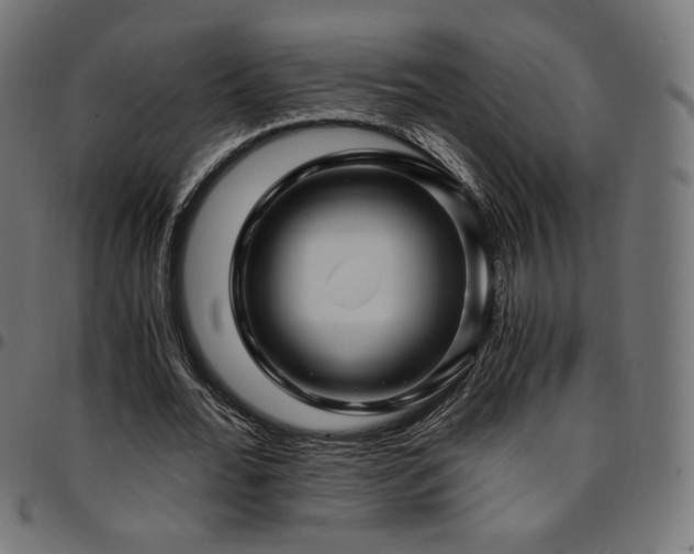 X0000095540676200712141525