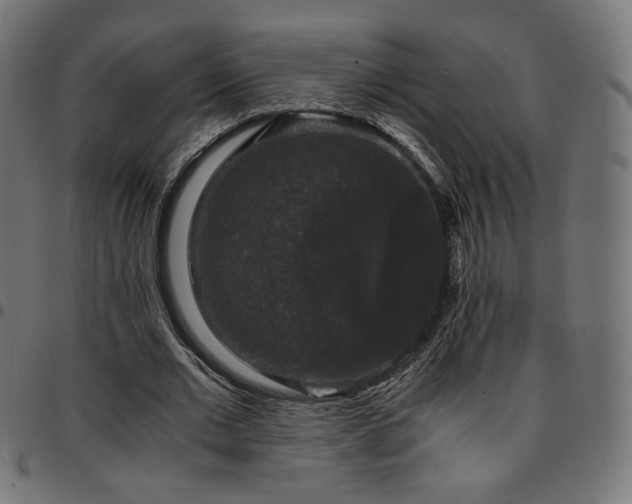 X0000095540677200712141525