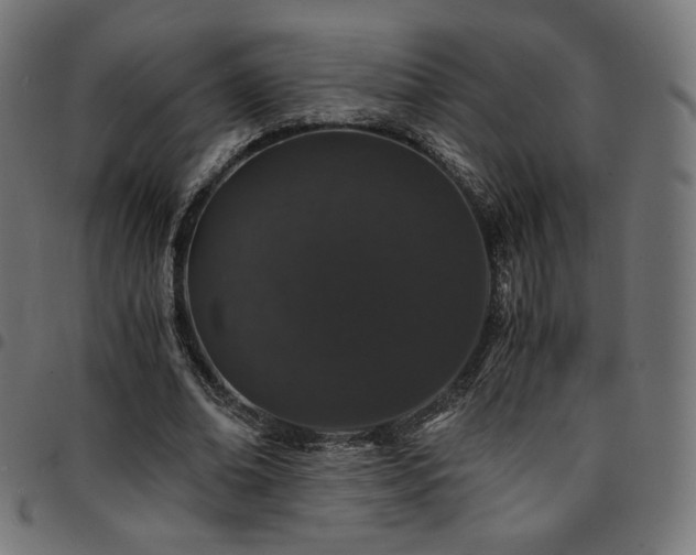 X0000095540678200712141525