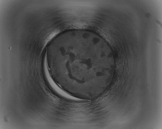 X0000095540679200712141525