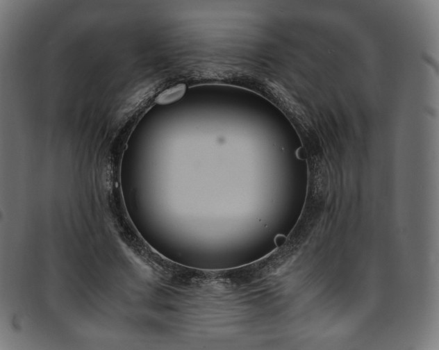 X0000095540683200712141525