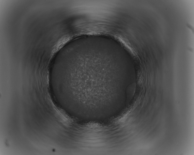 X0000095540685200712141525