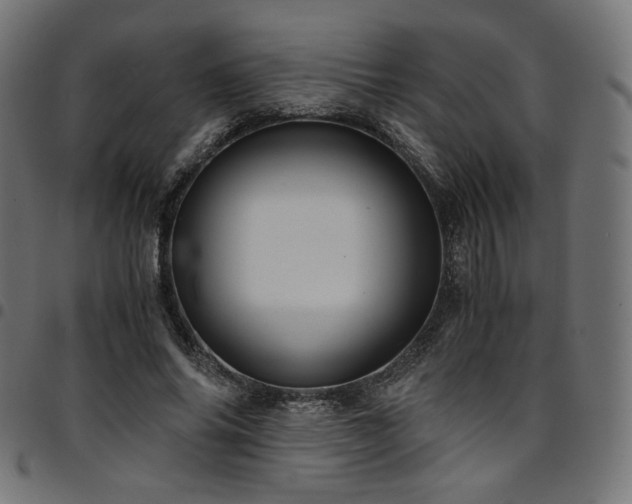 X0000095540686200712141525