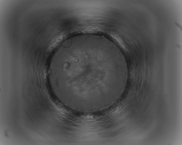 X0000095540687200712141525