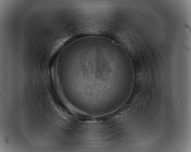 X0000095540688200712141525