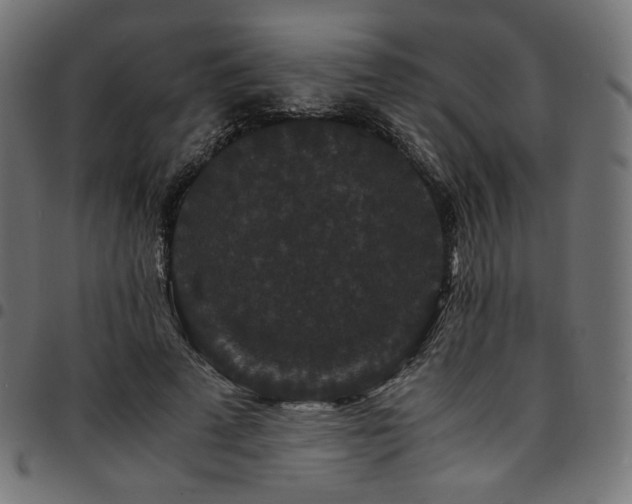 X0000095540689200712141525