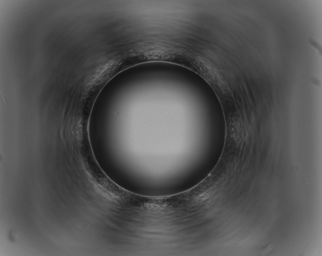 X0000095540690200712141525