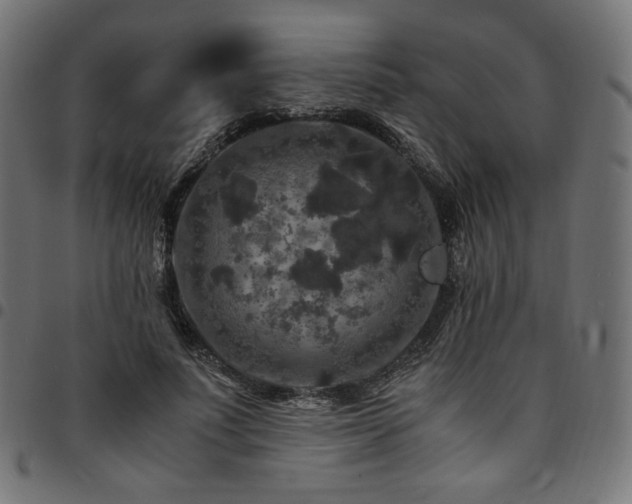 X0000095540691200712141525