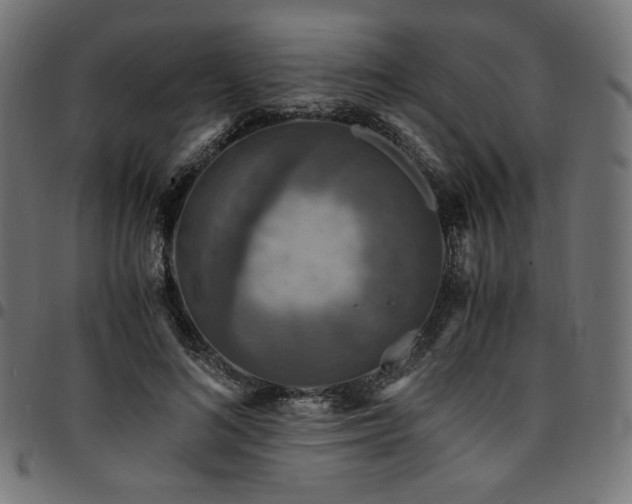 X0000095540692200712141525