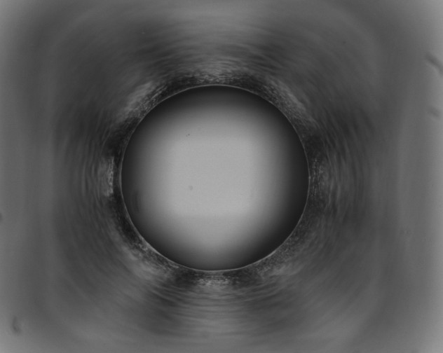 X0000095540694200712141525