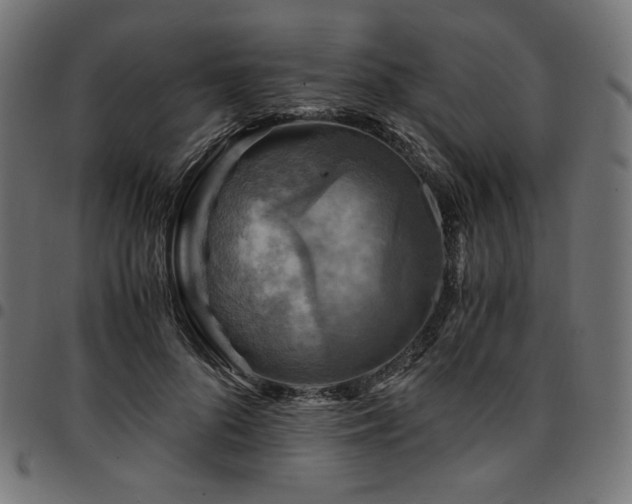 X0000095540696200712141525