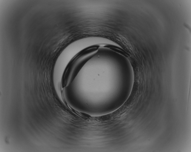 X0000095540697200712141525