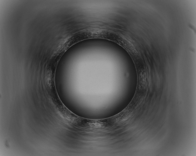 X0000095540698200712141525