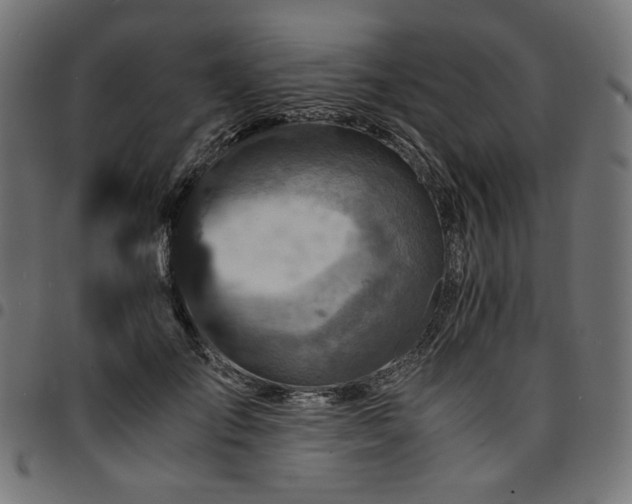 X0000095540701200712141525