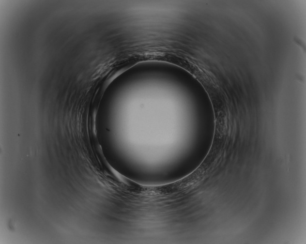 X0000095540704200712141525