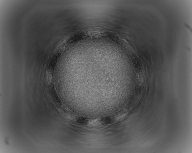 X0000095540705200712141525