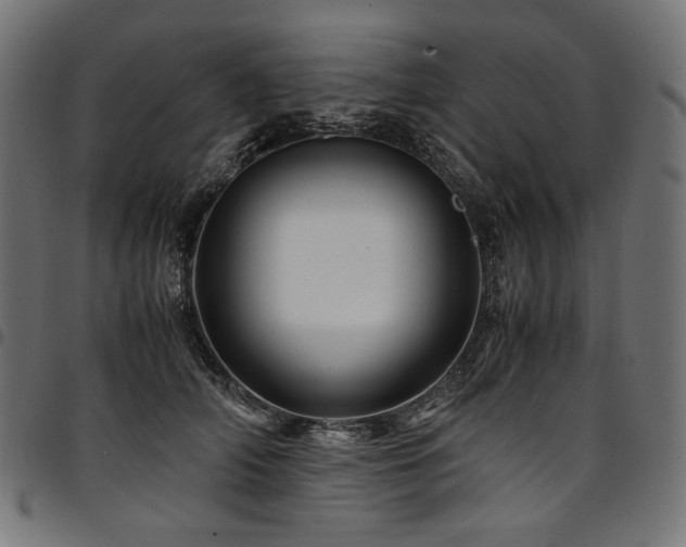 X0000095540706200712141525