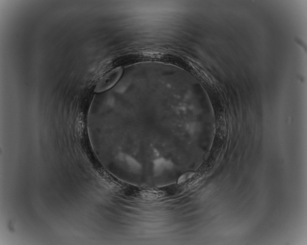 X0000095540707200712141525