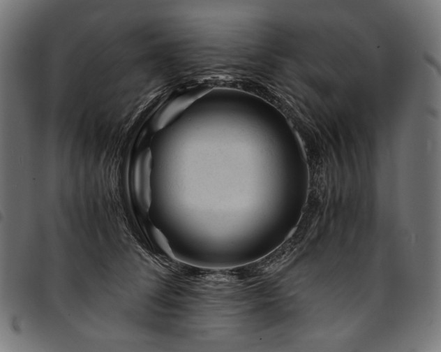 X0000095540708200712141525