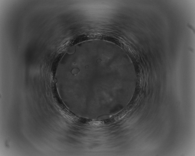 X0000095540711200712141525