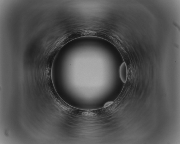 X0000095540714200712141525