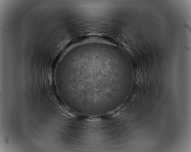 X0000095540716200712141524