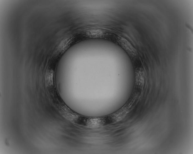 X0000095540717200712141524