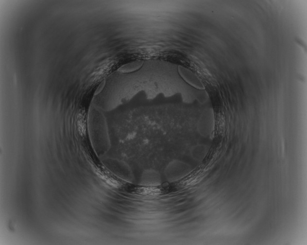 X0000095540719200712141524