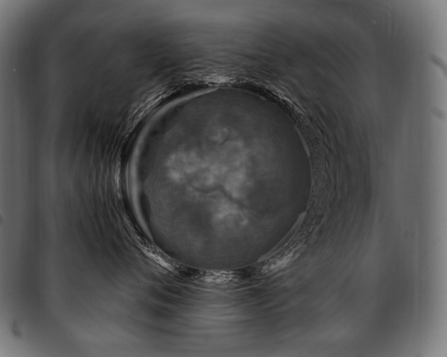 X0000095540720200712141524