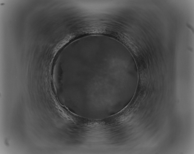 X0000095540721200712141524