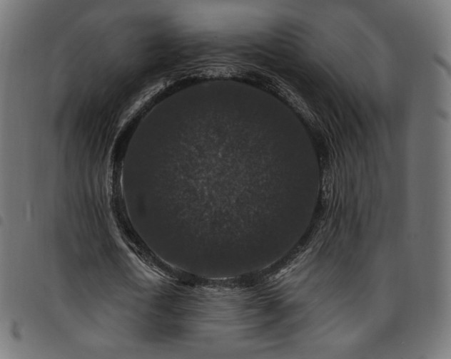 X0000095540722200712141524