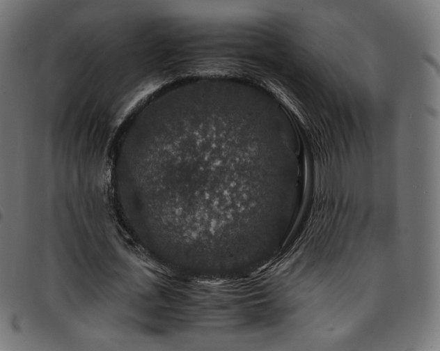 X0000095540723200712141524