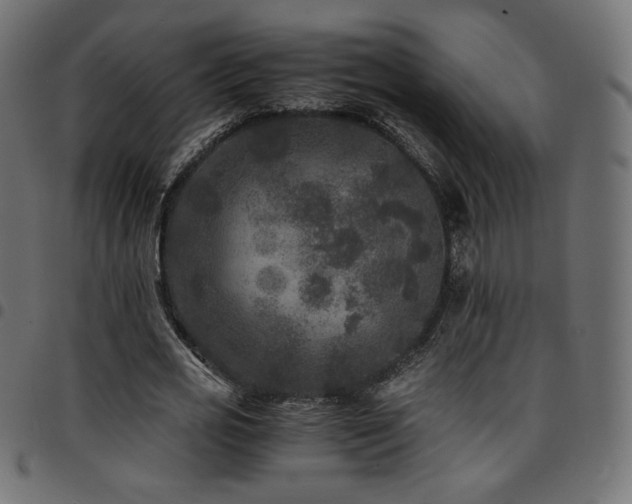 X0000095540725200712141524