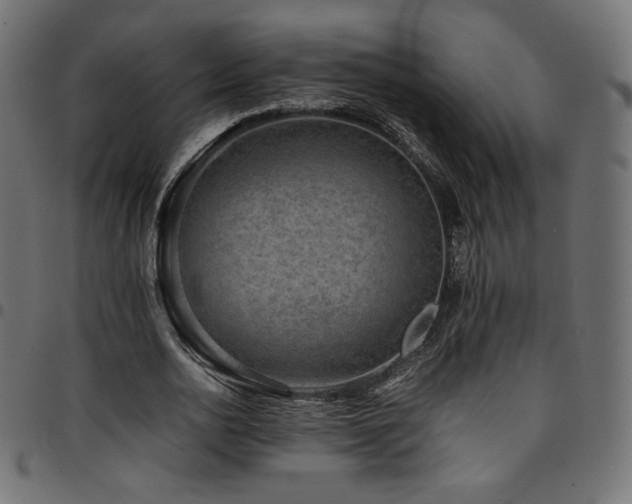 X0000095540726200712141524