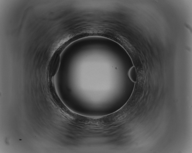 X0000095540727200712141524