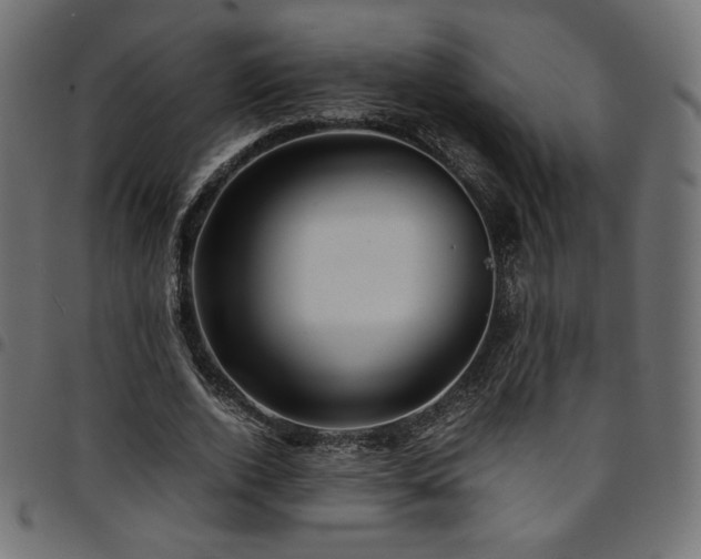 X0000095540728200712141524