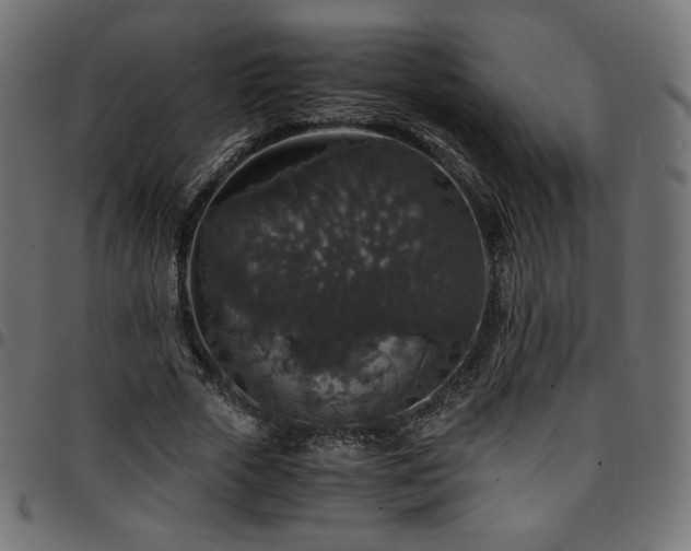 X0000095540729200712141524