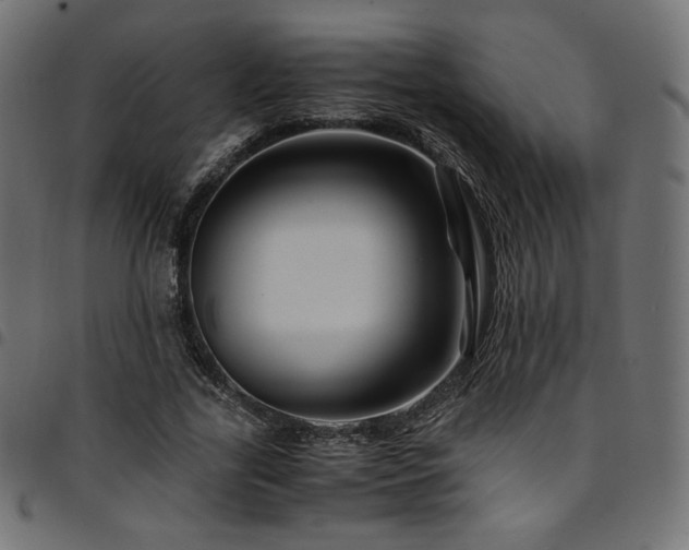 X0000095540731200712141524