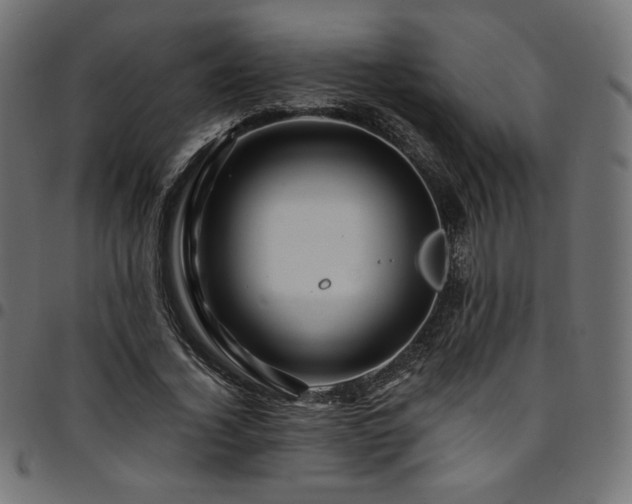 X0000095540732200712141524