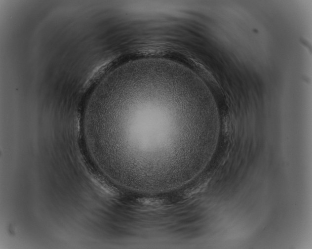 X0000095540733200712141524